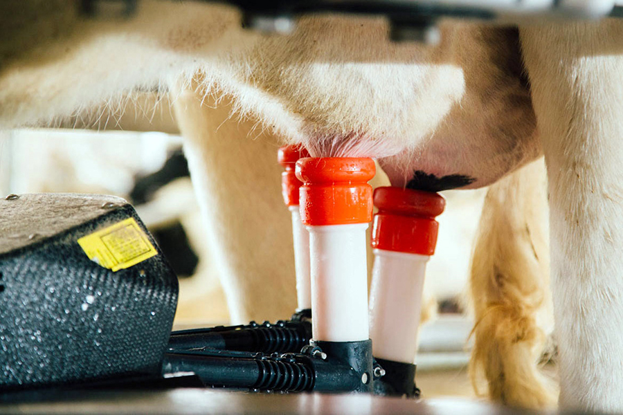 Starforce Milking Systems